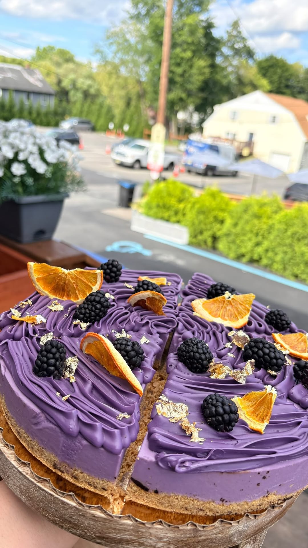 House blueberry cheesecake
